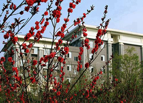 樂平職業(yè)中等專業(yè)學(xué)校2025年招生要求有哪些